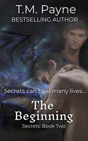 The Beginning: Secrets: Book Two