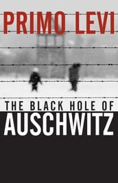 The Black Hole of Auschwitz