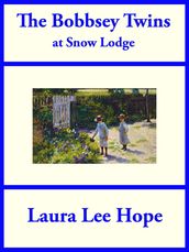 The Bobbsey Twins at Snow Lodge