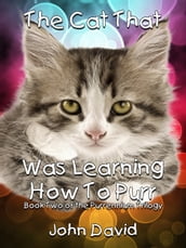 The Cat That Was Learning How to Purr (Book Two)