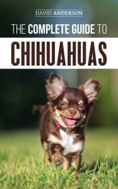 The Complete Guide to Chihuahuas