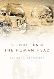 The Evolution of the Human Head