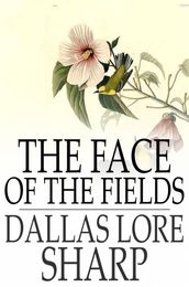 The Face of the Fields