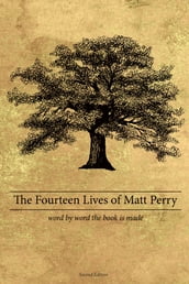 Il libro di Matthew Perry, La Cosa Terribile: «Ho lottato tutta la