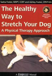 The Healthy Way To Stretch Your Dog