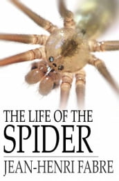 The Life of the Spider