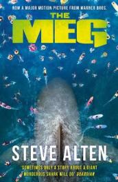 The MEG