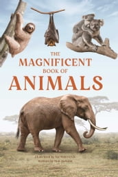 The Magnificent Book of Animals