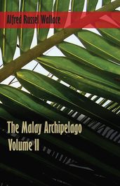 The Malay Archipelago, Volume 2.