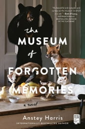 The Museum of Forgotten Memories