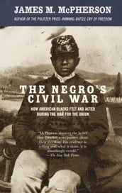 The Negro s Civil War