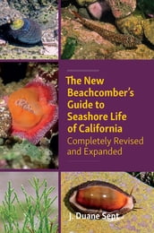 The New Beachcomber s Guide to Seashore Life of California