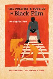 The Politics and Poetics of Black Film