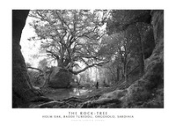 The Rock-Tree. Holm Oak, Badde Tureddu, Orgosolo, Sardinia. Ediz. italiana e inglese. Con...