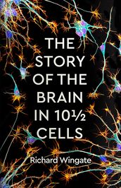 The Story of the Brain in 10 Cells