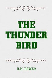 The Thunder Bird