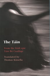 The Tin: From the Irish epic Tin B Cuailnge