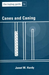 The Toybag Guide to Canes and Caning