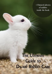 The Ultimate Guide to Dwarf Rabbit Care