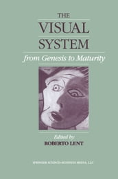 The Visual System from Genesis to Maturity