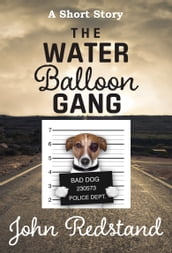 The Water Balloon Gang