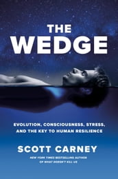 The Wedge: Evolution, Consciousness, Stress and the Key to Human Resilience