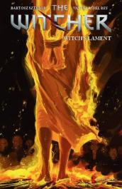 The Witcher Volume 6: Witch s Lament