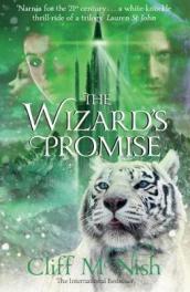 The Wizard s Promise