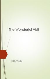 The Wonderful Visit