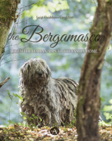 The bergamasco. From the Italian Alps to the family home - Luigi Guidobono Cavalchini