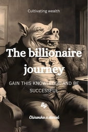 The billionaire journey