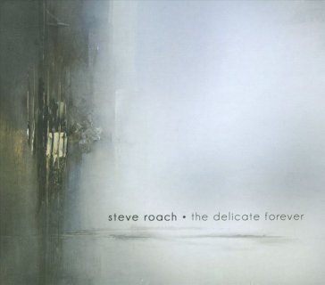 The delicate forever - Steve Roach