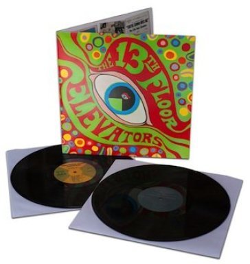 The psychedelic sounds of the 13th floor - 13th Floor Elevators