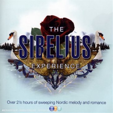 The sibelius experience - Experience