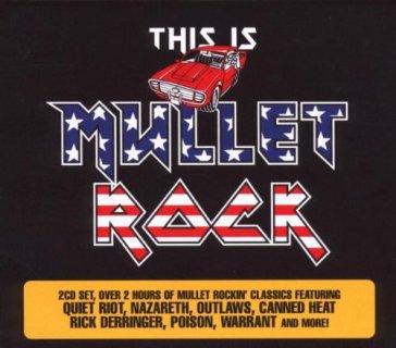 This is mullet rock - AA.VV. Artisti Vari