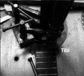 Tibi (hybrid disc)
