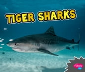 Tiger Sharks