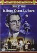 To Kill A Mockingbird [Edizione: Regno Unito]