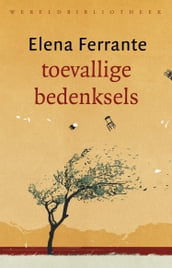 Toevallige bedenksels