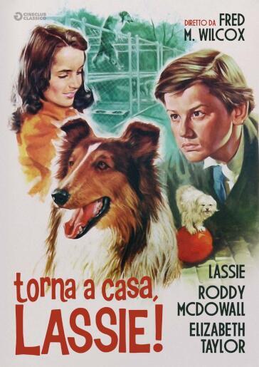 Torna A Casa Lassie - Fred Macleod Wilcox