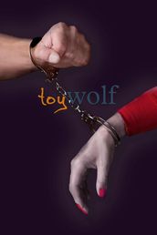 Toy Wolf