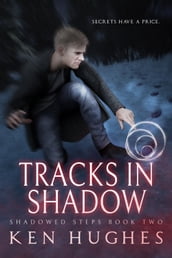 Tracks In Shadow