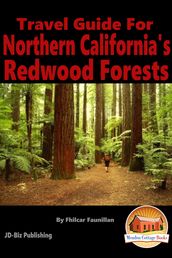 Travel Guide for Northern California s Redwood Forests