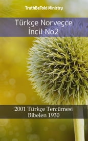 Türkçe Norveçce ncil No2