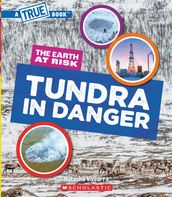 Tundra in Danger (A True Book: The Earth at Risk)