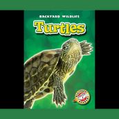 Turtles