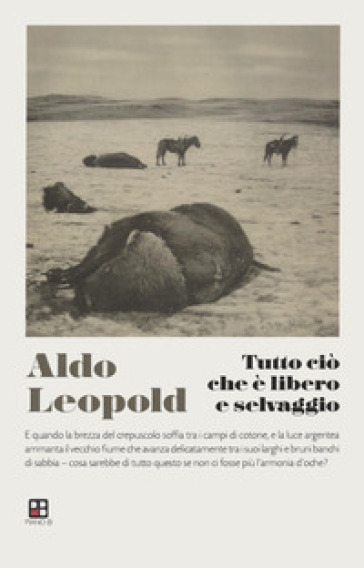 Tutto ciò che è libero e selvaggio - Aldo Leopold