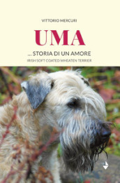 Uma... storia di un amore. Irish Soft Coated Wheaten Terrier