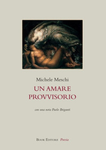 Un amare provvisorio - Michele Meschi