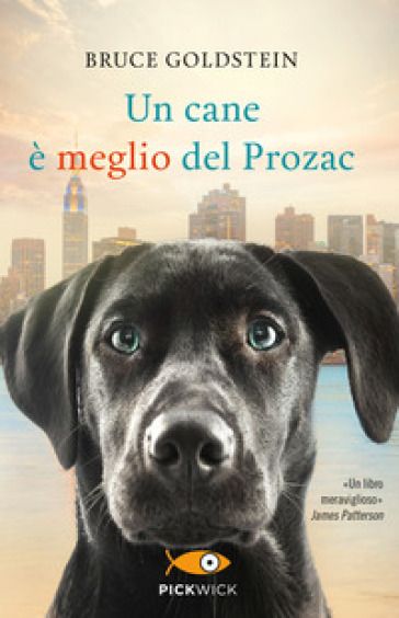 Un cane è meglio del Prozac - Bruce Goldstein